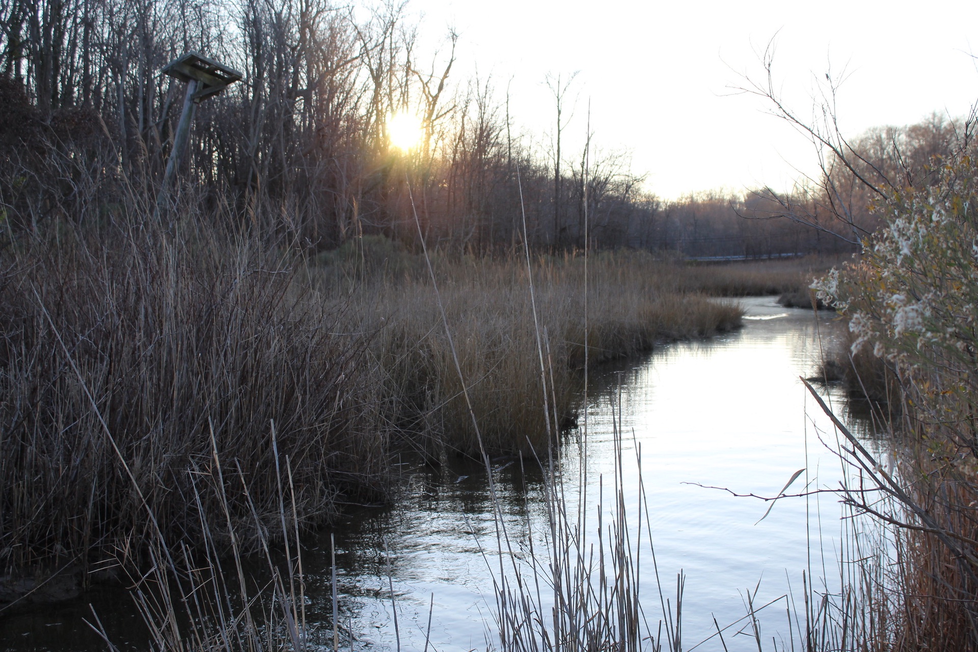 Sunset Over Marshland